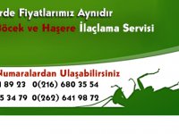 Berfin Böcek ve Haşere İlaçlama Firması