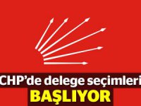 CHP Şişli'de, hangi mahallede kaç delege çıkaracak