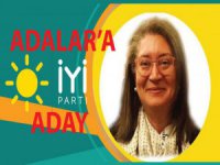 Ayşe Şakir İyi Parti’den Adalar’a yeniden talip