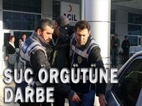 Suç örgütüne darbe