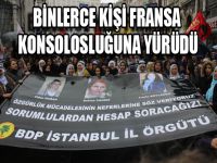 BDP Fransa'daki Suikastler için yürüdü