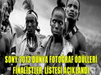 Sony 2013 Dünya Fotoğraf Ödülleri