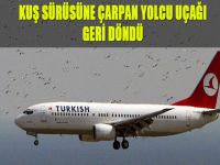 Kuş sürüsüne çarpan yolcu uçağı geri döndü
