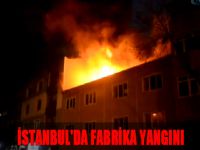 İstanbul'da fabrika yangını