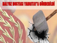 Balyoz dosyası Yargıtay'a gönderildi