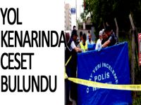 Yol kenarında ceset bulundu