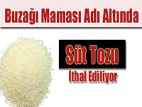 Buzağı Maması Adı Altında Süt Tozu İthal Ediliyor