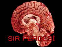 Sır perdesi aralandı