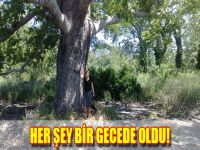 Her şey bir gecede oldu!