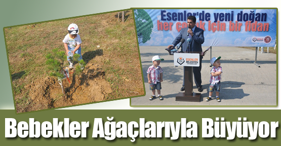Bebekler Ağaçlarıyla Büyüyor
