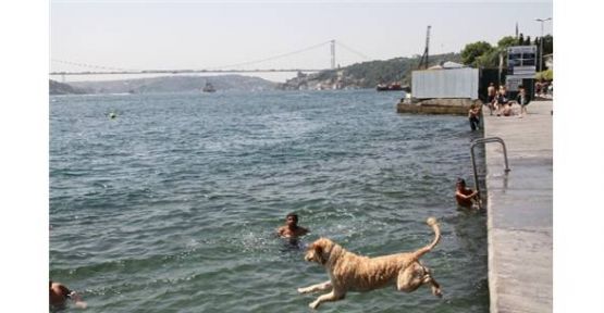 İstanbul'da hava sıcaklığı 39 dereceyi buldu