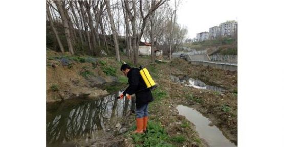 Beylikdüzü 2 günde bir ilaçlanıyor