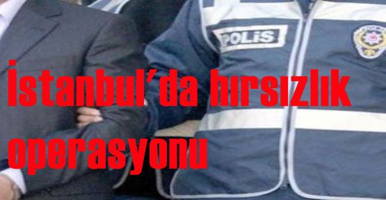 İstanbul'da hırsızlık operasyonu