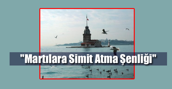 "Martılara Simit Atma Şenliği"