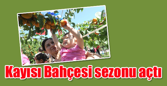 Kayısı Bahçesi sezonu açtı