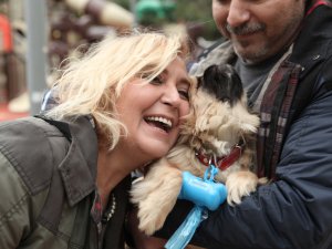 Şişli'de Köpekler Poşetsiz Sokağa Çıkmıyor