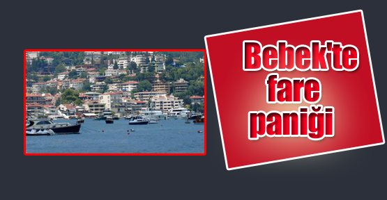 Bebek'te fare paniği