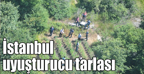 İstanbul'un çevresini uyuşturucu tarlasına çevirmişler