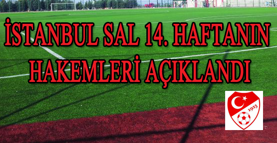 İstanbul SAL 14. haftanın hakemleri açıklandı