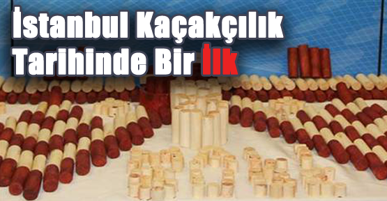 İstanbul'da 635 kaçak fildişi ele geçirildi