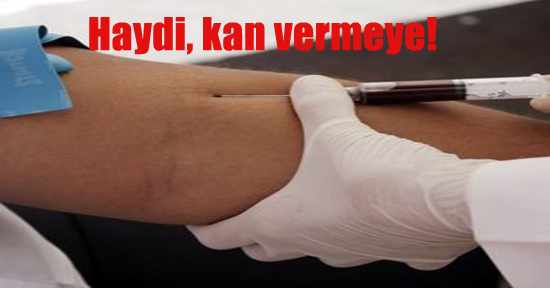 Haydi gençlik İstanbul'u canlandır
