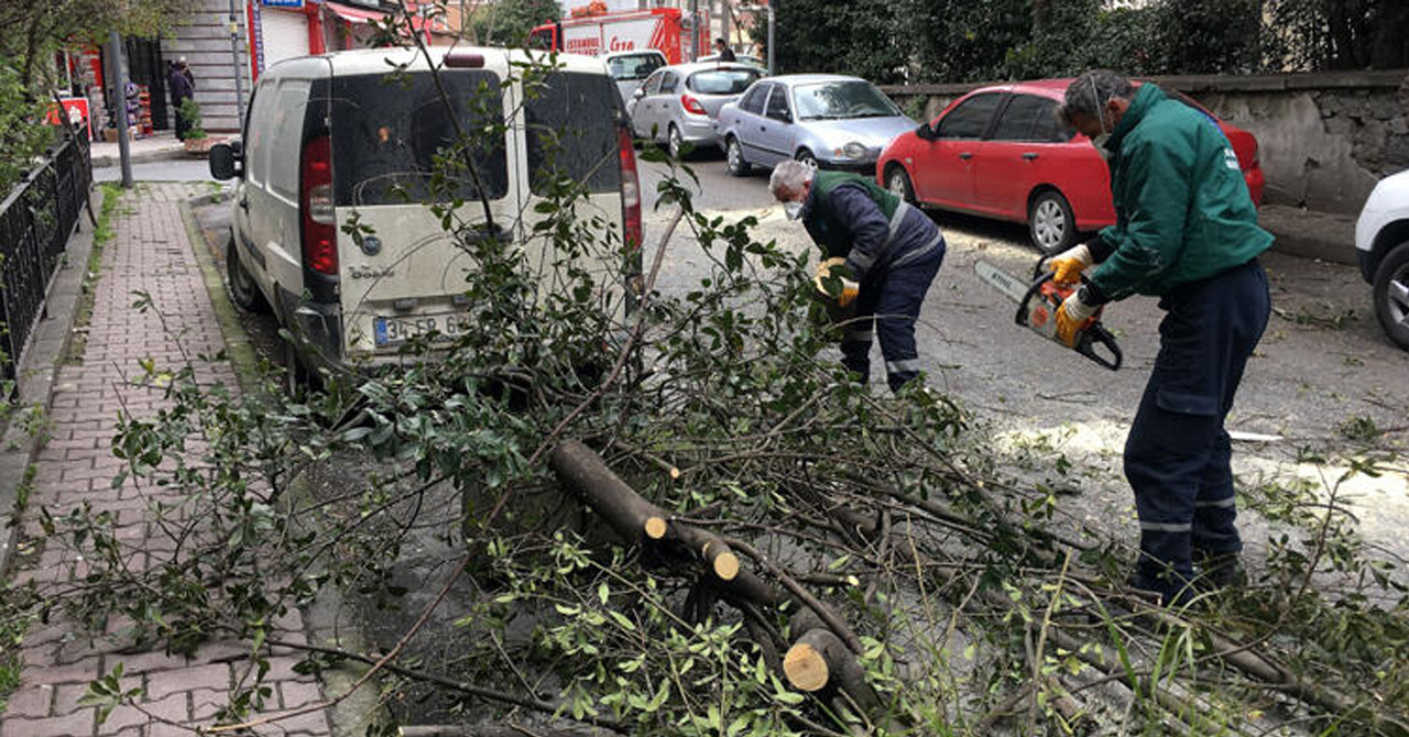 İstanbul’daki fırtına Şişli’de yine bir ağacı devirdi