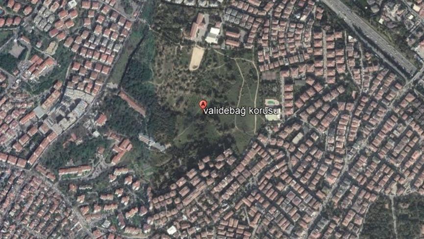 Validebağ Korusu Üsküdar Belediyesi’ne tahsis edildi