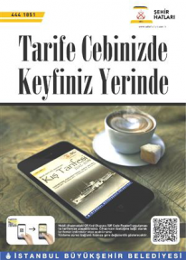 Vapur seferleri cepte