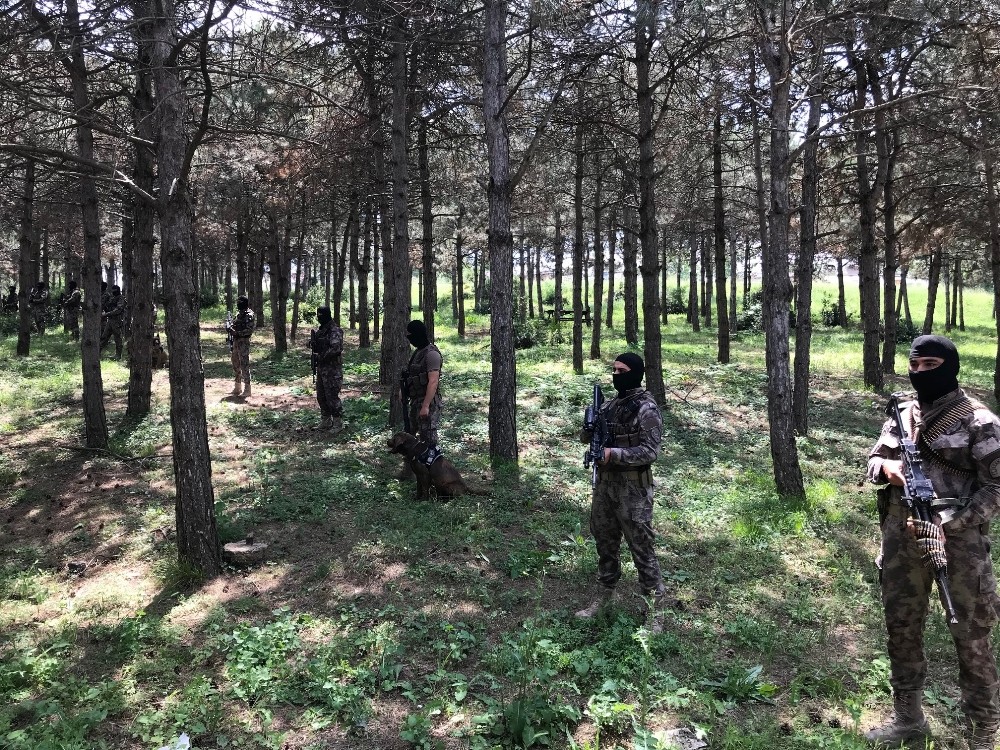 Orman yangınlarına yeni önlem “Doğa Devriyesi”