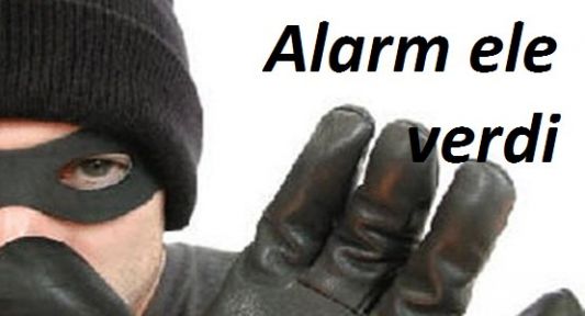 Alarm Ele Verdi