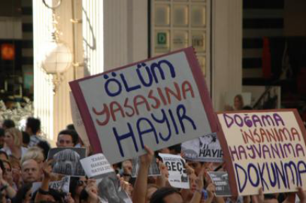 Hem hayvan, hem insan seviyorlar