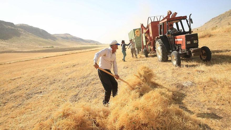 Buğday ithalatında dünya rekoru kırdık