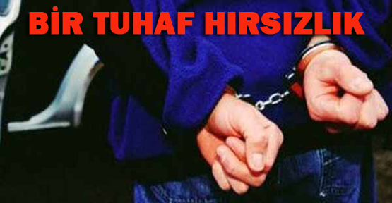 200 bin liralık TIR'ı çalıp 5 bine sattılar