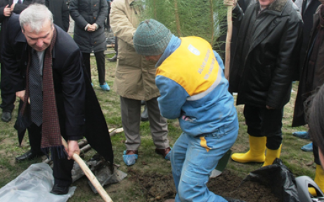 İSMMMO Ormanı Silivri'de kök salıyor