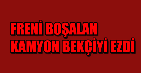 İhtiyaç gideren bekçi, kamyonun altında kaldı