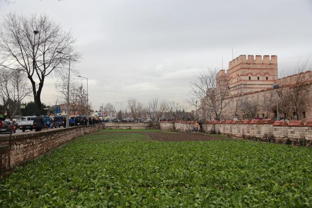 Fatih Belediyesi, Yedikule bostanlarına tesis yapmak istiyor