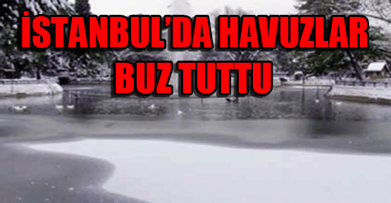 Havuzlar buz tuttu
