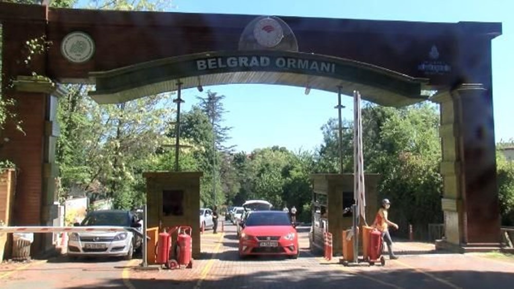 Belgrad Ormanı'nda mangal kuyruğu