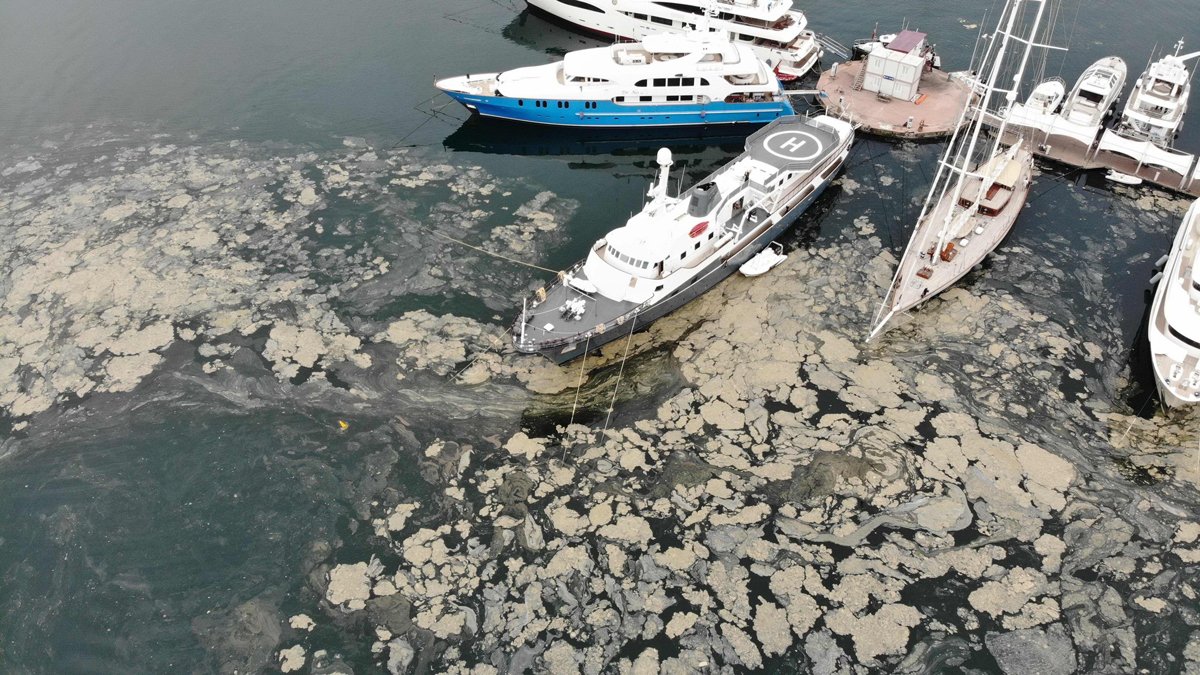 Deniz salyası turizm ve balıkçılığı da öldürüyor