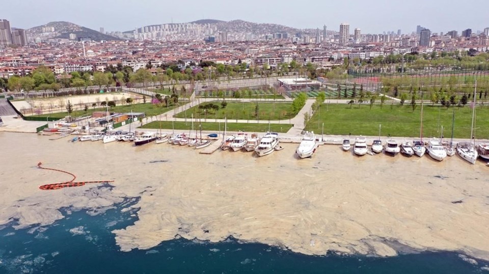 Vatandaş için en büyük çevre sorunu müsilaj