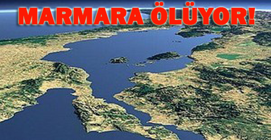 Marmara ölüyor!