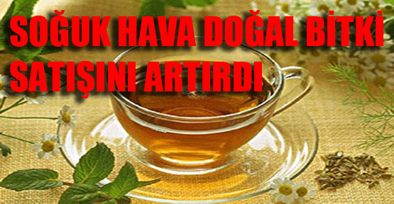 Soğuk havalar doğal bitki satışını artırdı