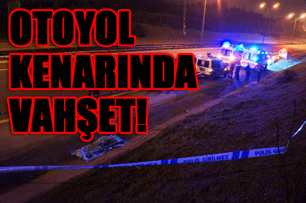 Otoyol kenarında vahşet!