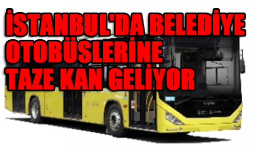 İstanbul'da belediye otobüslerine taze kan geliyor