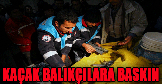 İstanbul'da kaçak balık satıcılarına gece baskını