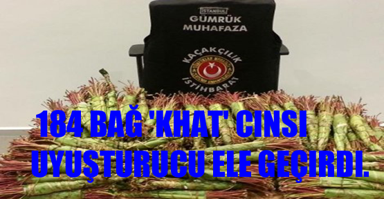 Sabiha Gökçen Havalimanı'nda 184 Bağ 'Khat' Cinsi Uyuşturucu Ele Geçirildi