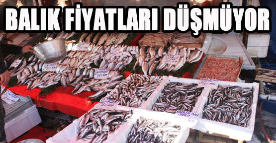 BALIK FİYATLARI DÜŞMÜYOR