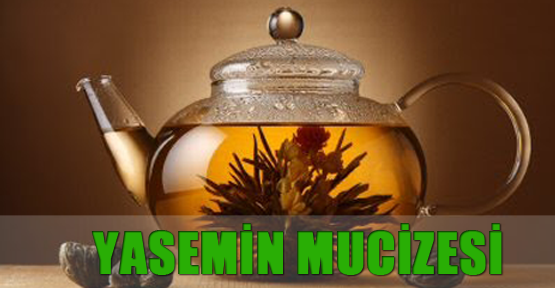 Yasemin mucizesi