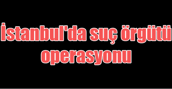 İstanbul'da suç örgütü operasyonu