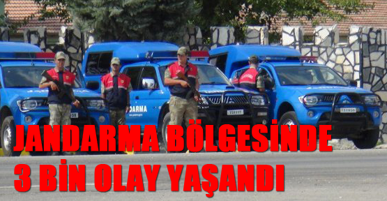 Jandarma bölgesinde 3 bin olay yaşandı